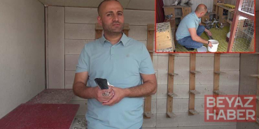 Sanal medya bağımlılığından güvercinler sayesinde kurtuldu