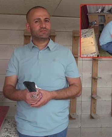 Sanal medya bağımlılığından güvercinler sayesinde kurtuldu