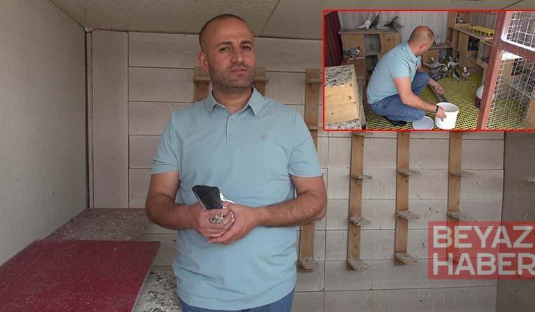 Sanal medya bağımlılığından güvercinler sayesinde kurtuldu