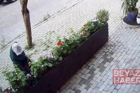 Avcılar