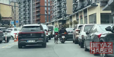 Seyrantepe’de motosiklete bağladığı köpeği metrelerce koşturdu: 8 bin 678 lira ceza kesildi