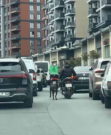 Seyrantepe’de motosiklete bağladığı köpeği metrelerce koşturdu: 8 bin 678 lira ceza kesildi