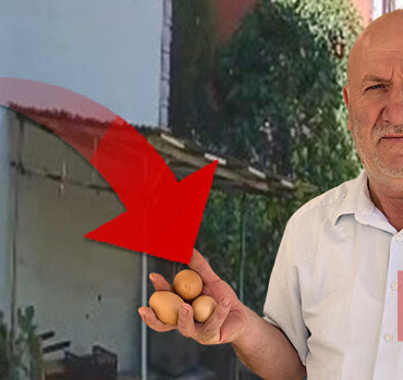 'Delil var ama polise gidemiyoruz' | Her gün yumurtaları çalınıyordu: Kamera kurunca hayrete düştü!