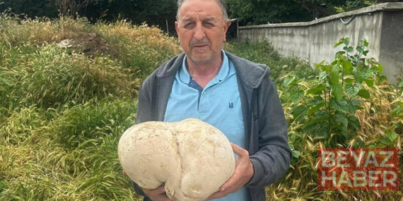 Bahçesinde 3,5 kiloluk mantar buldu