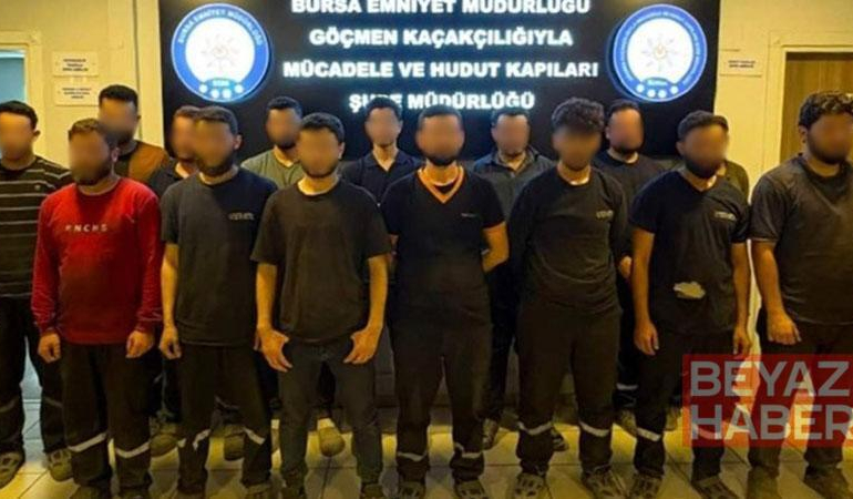 Kaçak göçmenlere yer temin edip, çalıştıran 2 şüpheliye gözaltı