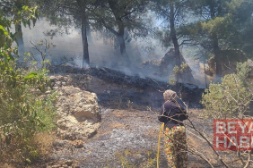 Kahramanmaraş’ta orman yangını