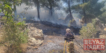 Kahramanmaraş’ta orman yangını
