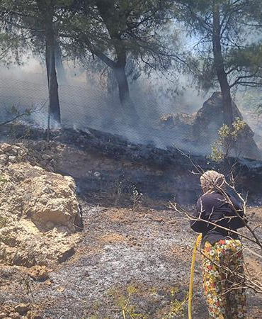 Kahramanmaraş’ta orman yangını