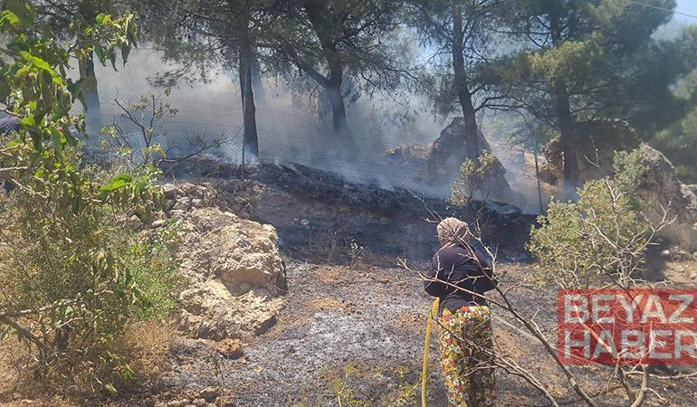 Kahramanmaraş’ta orman yangını