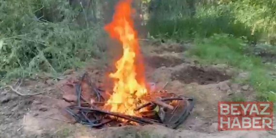 Hevsel Bahçeleri’nde 12 bin 174 kök kenevir ele geçirildi