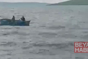 Çıldır Gölü’ne atlayan buzağı sandalla kurtarıldı; o anlar kamerada