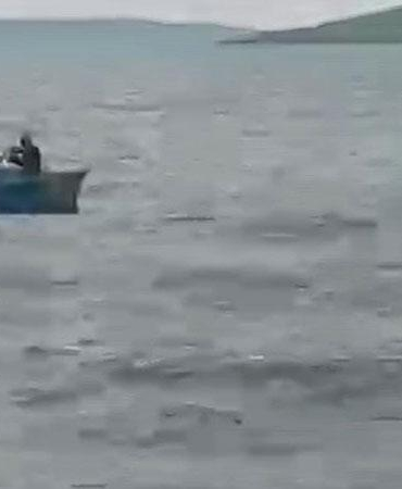 Çıldır Gölü’ne atlayan buzağı sandalla kurtarıldı; o anlar kamerada