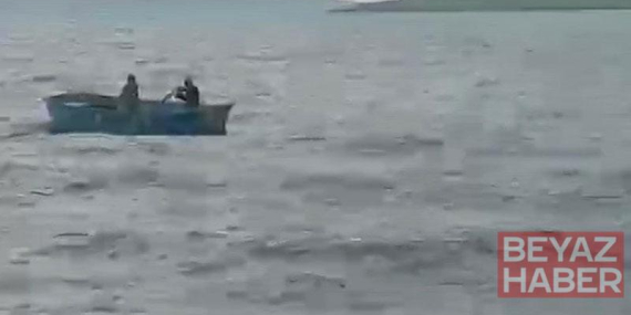Çıldır Gölü’ne atlayan buzağı sandalla kurtarıldı; o anlar kamerada