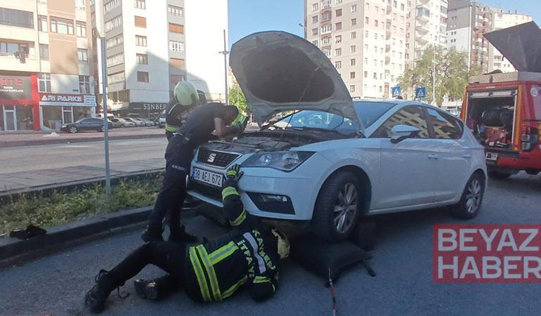Park halindeki otomobilden yılan sarkıttığı ihbarı endişe yarattı