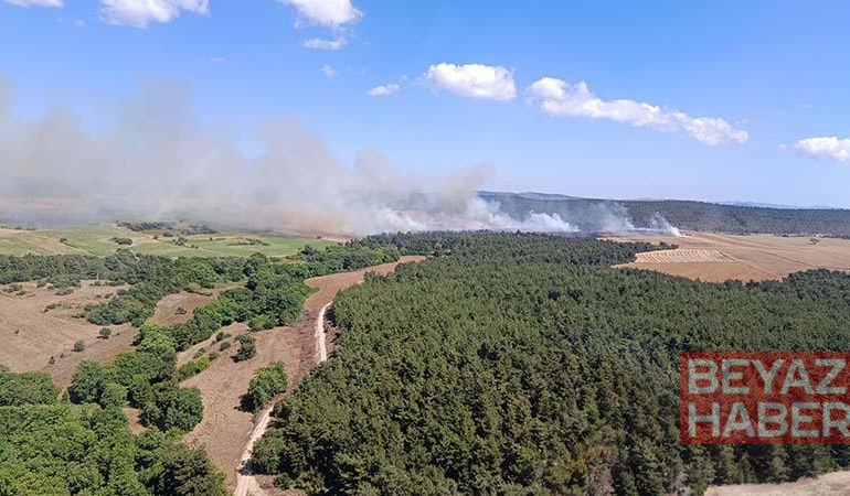 Çanakkale
