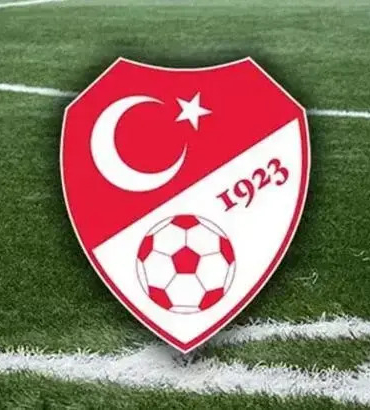 A Milli Takım