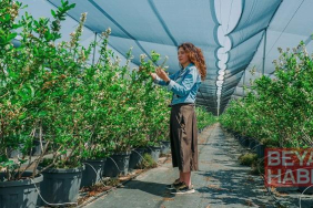 Türk çiftçilerin başarı hikayeleri Microsoft yayınıyla globalde