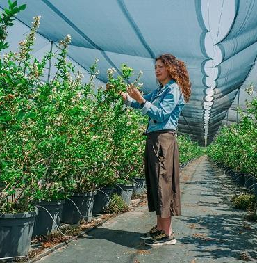 Türk çiftçilerin başarı hikayeleri Microsoft yayınıyla globalde