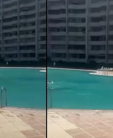Mersin’de bir kadının haşema ile havuza alınmadığı iddiasına tutuklama
