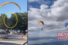 Paraşütçünün ağaca kontrollü inişi, çevredekileri endişelendirdi