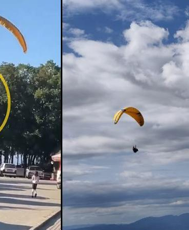 Paraşütçünün ağaca kontrollü inişi, çevredekileri endişelendirdi