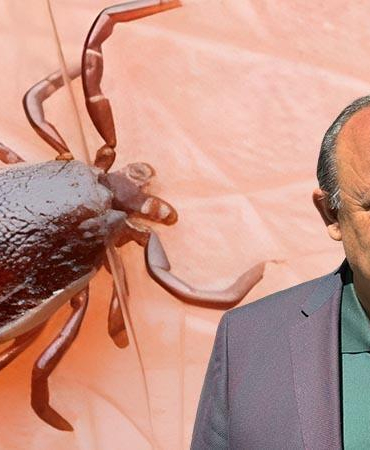 Prof. Dr. Çetin: KKKA hastalığı için umut veren 3 aşı çalışması var