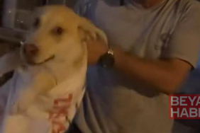 Çuvala koyulan köpeği, hayvansever kadın kurtardı
