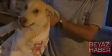 Çuvala koyulan köpeği, hayvansever kadın kurtardı