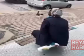 Kedinin yüzüne sprey sıkan market çalışanı beraat etti