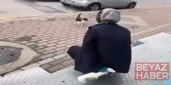 Kedinin yüzüne sprey sıkan market çalışanı beraat etti