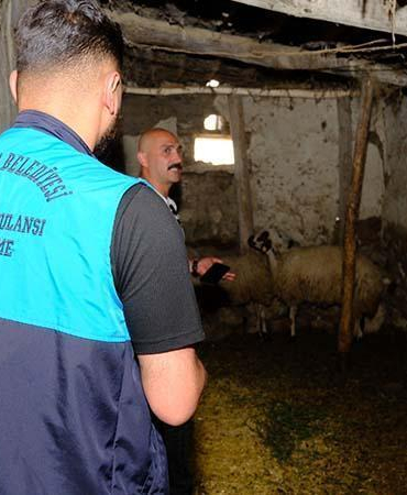 Van’da kuduz vakası sonrası mahalle karantinaya alındı