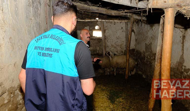 Van’da kuduz vakası sonrası mahalle karantinaya alındı