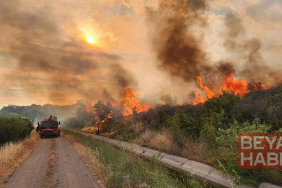 Çanakkale’de biçerdöver ve balya makinası kullanımı yasaklandı