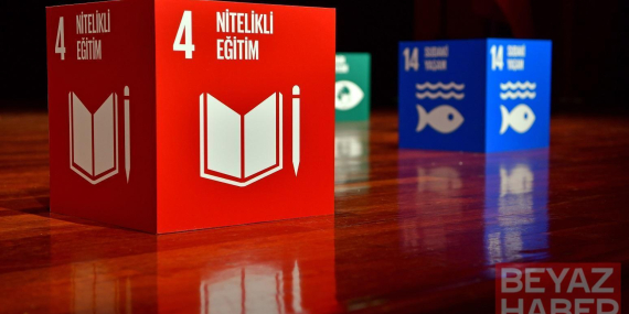 İstanbul Kültür Üniversitesi, THE Impact Rankings 2026