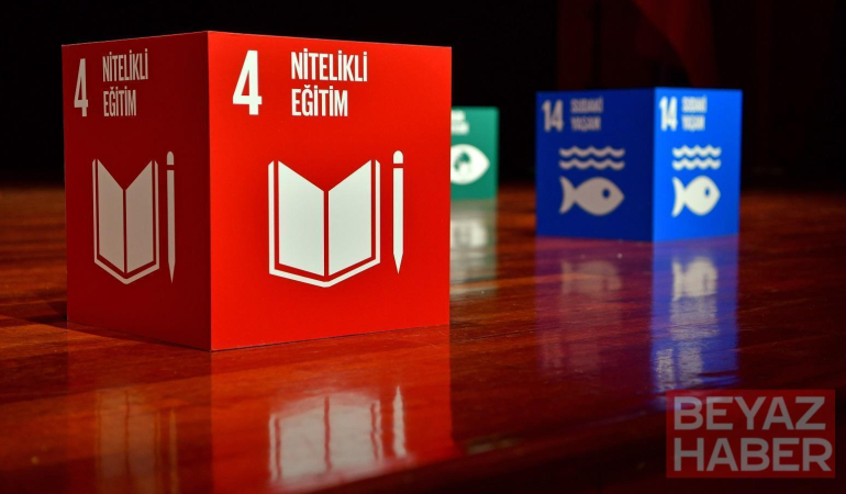 İstanbul Kültür Üniversitesi, THE Impact Rankings 2026