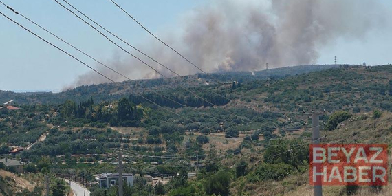 Çeşme’de çöplükte çıkan yangın, makilik alana sıçradı
