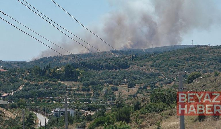 Çeşme’de çöplükte çıkan yangın, makilik alana sıçradı