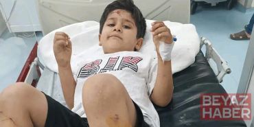 Sokak köpeklerinin saldırısına uğrayan Abdulkadir, yaralandı