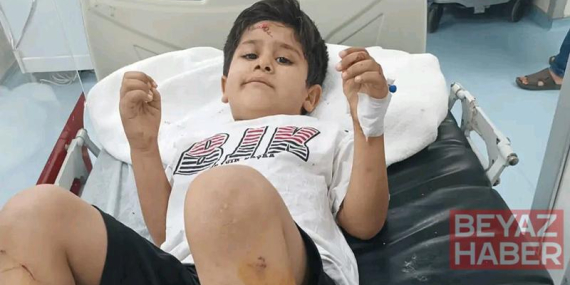 Sokak köpeklerinin saldırısına uğrayan Abdulkadir, yaralandı