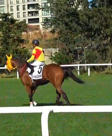 100’üncü Gazi Koşusu’nu Halis Karataş’ın jokeyliğini yaptığı
