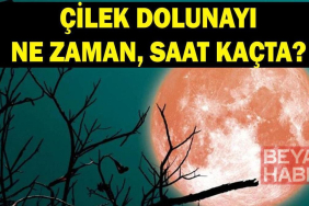 ÇİLEK AY NE ZAMAN? 2026 Haziran Dolunayı hangi gün, saat kaçta? Oğlak Dolunayı Türkiye'den görülecek mi?