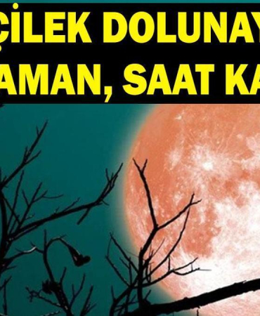 ÇİLEK AY NE ZAMAN? 2026 Haziran Dolunayı hangi gün, saat kaçta? Oğlak Dolunayı Türkiye'den görülecek mi?