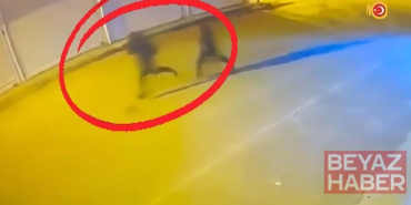 Diyarbakır’da çıkar amaçlı silahlı suç örgütüne operasyon: 15 tutuklama