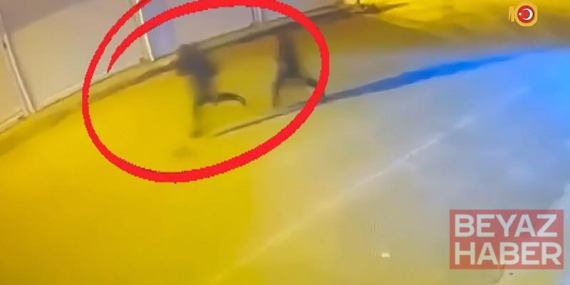 Diyarbakır’da çıkar amaçlı silahlı suç örgütüne operasyon: 15 tutuklama