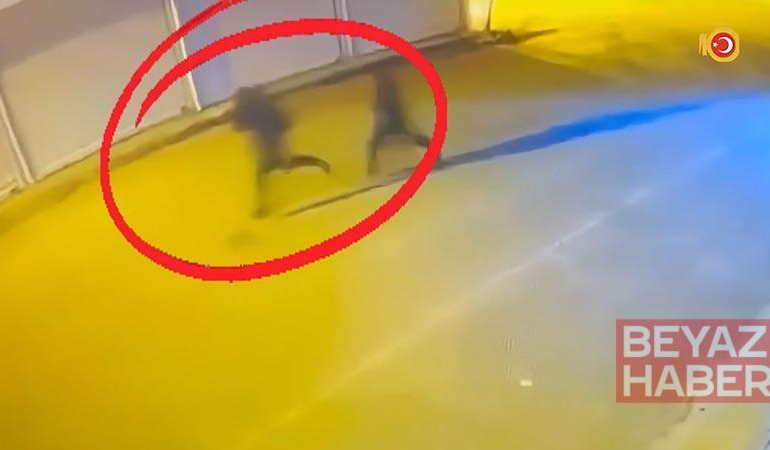 Diyarbakır’da çıkar amaçlı silahlı suç örgütüne operasyon: 15 tutuklama