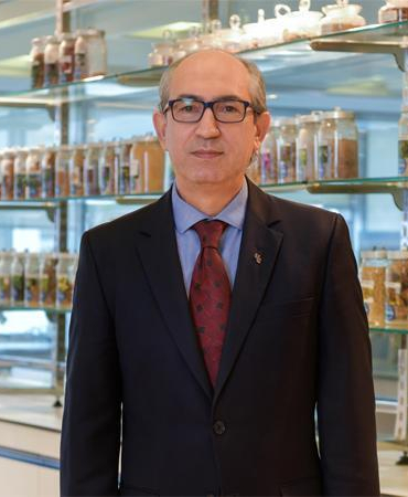 Prof. Dr. Türkoğlu: Biocomplex B11, saç dökülmesi ilacı minoksidilin etkisini yüzde 73 artırıyor