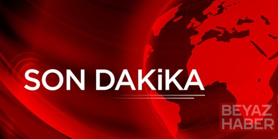 Tamar Tanrıyar hakkında Cumhurbaşkanına hakaret ve halkı yanıltıcı bilgiyi alenen yaymadan gözaltı kararı