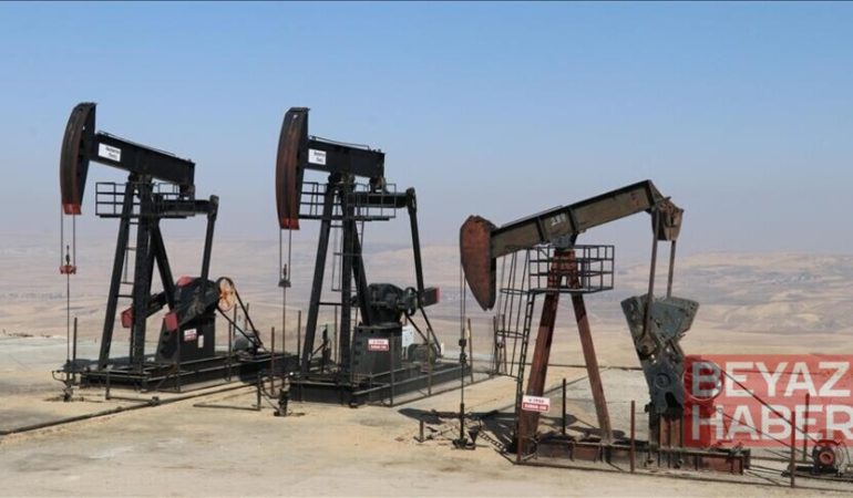 OPEC'in günlük ham petrol üretimi mayısta 180 bin varil azaldı