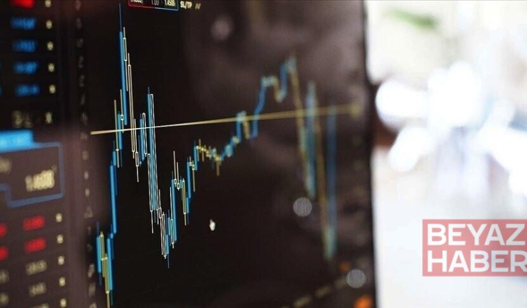 AA Finans Ödemeler Dengesi Beklenti Anketi sonuçlandı