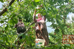 Kırmızı hasat başladı: 35 ülke almak için şimdiden sıraya girdi